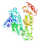 Proteins in BSA