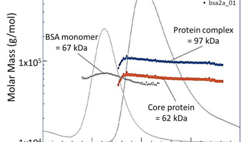 Protein Lipid