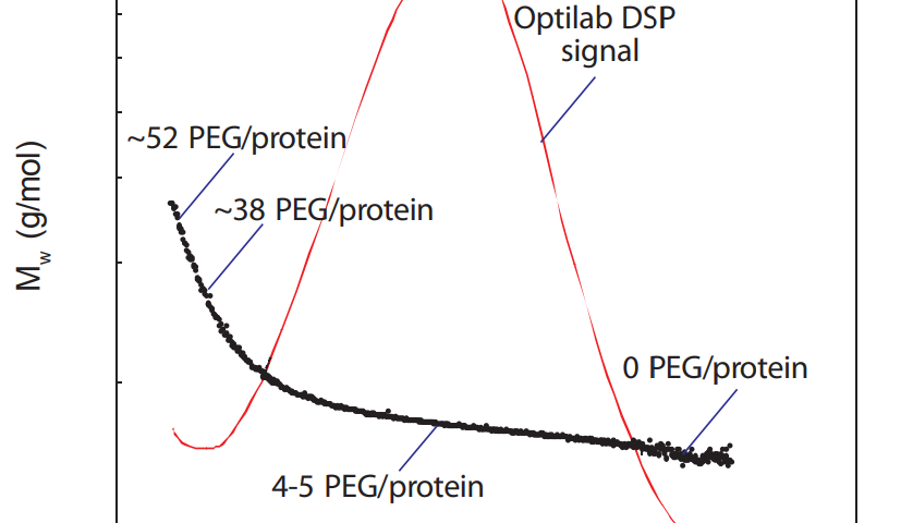 PEGylated Proteins